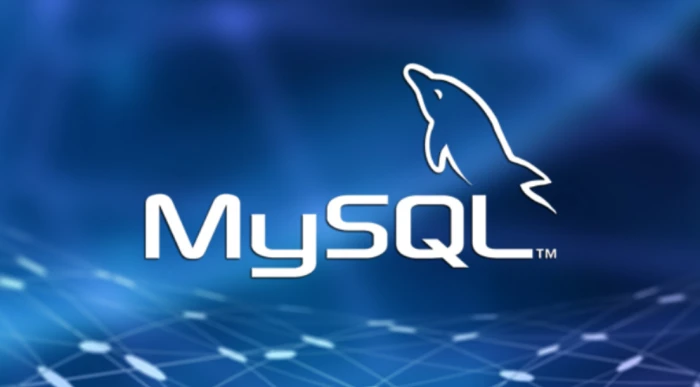 クエリとデータベースとテーブルの世界:MySQL入門ガイド